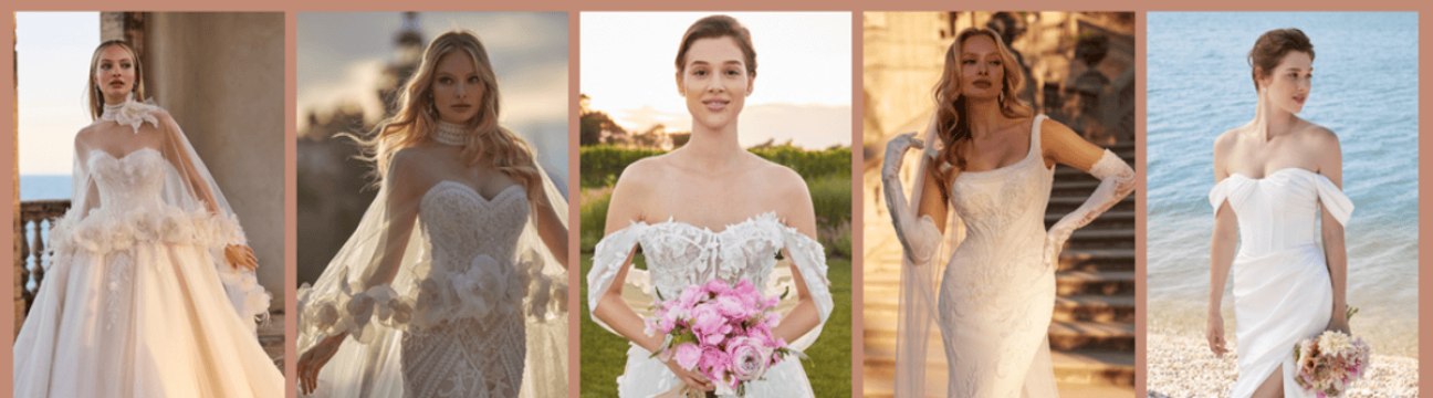 Amore Gowns